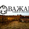 Enero 25: nueva Cata cultural de Bakkai vinos (copia)