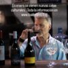 Enero 25: nueva Cata cultural de Bakkai vinos (copia)