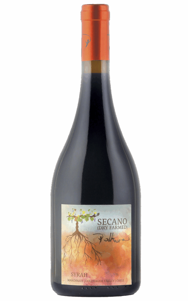 Secano 2021
