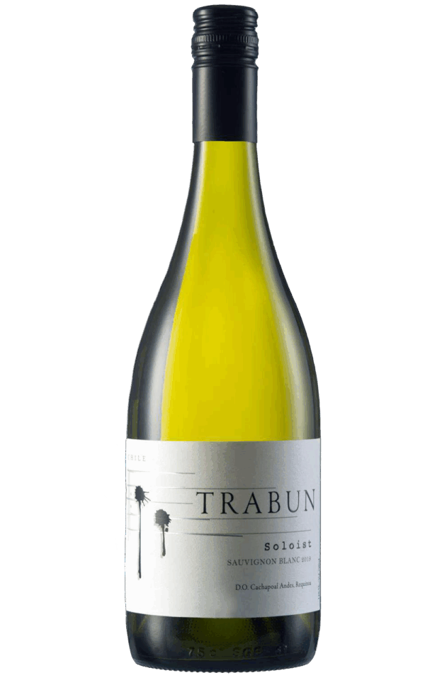 Soloist sauvignon blanc