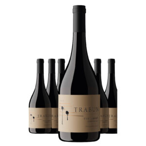 Unplugged Carignan caja x 6