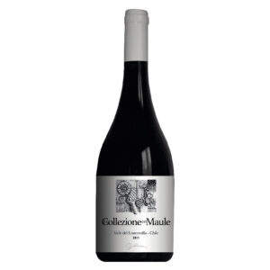 Collezione del Maule 2019
