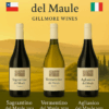 Italianos del Maule