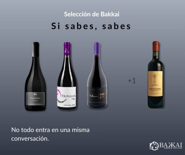 Selección Bakkai — Pierre de Feu, Trifulca, Block g+i  + Destinados
